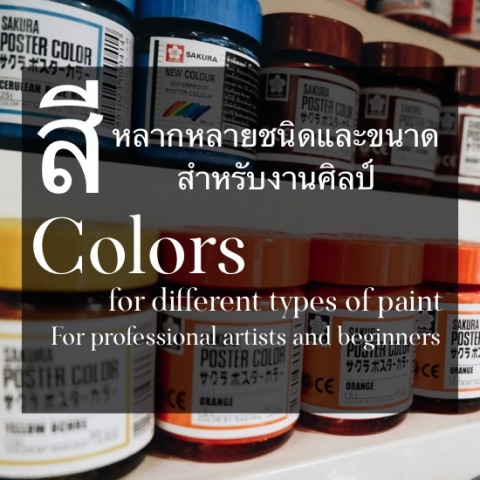 สีหลากหลายชนิด